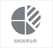 股權(quán)投資業(yè)務(wù)